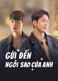 Gửi Đến Ngôi Sao Của Anh - To My Star (2021)